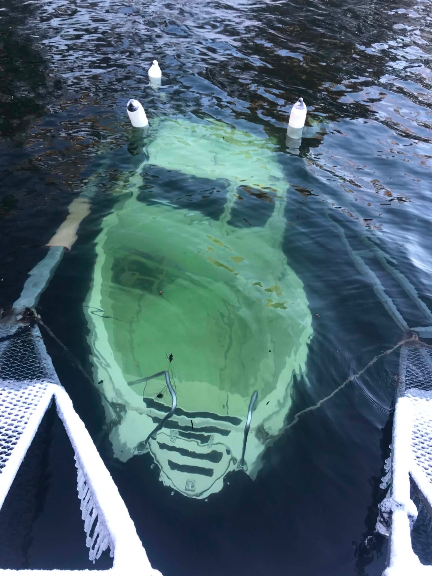 Sjunken motorbåt under vattenytan vid brygga inför bärgning